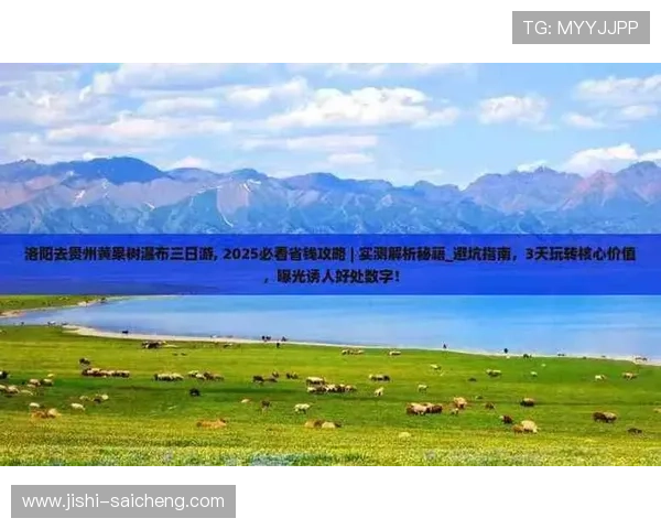 玩球必看彩票与数字高频玩法防骗避坑指南